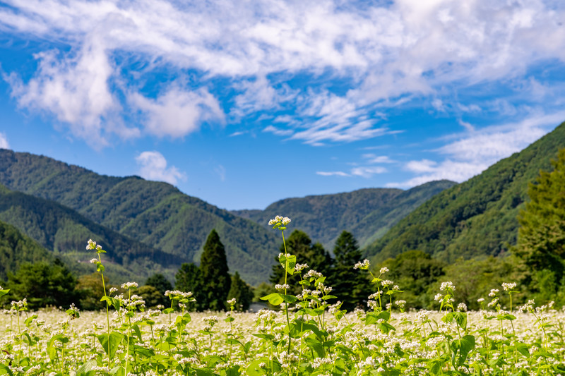 予習復習ってなんで大切なの？効果的なやり方とは？