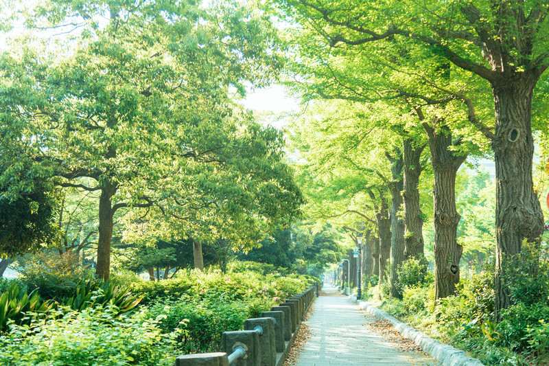 休み明けの不登校を防ぐために今日から家でしてあげられることは？