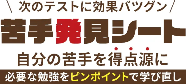 次のテストに効果バツグン【苦手発見シート】自分の苦手を得点源に〜必要な勉強をピンポイントで学び直し〜