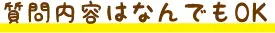 質問内容はなんでもOK