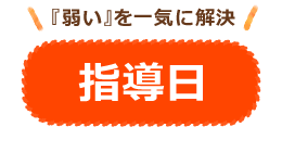指導日