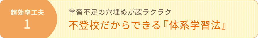 不登校だからできる『体系学習法』